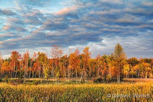 Autumn Landscape_16544.jpg - Photographed near Smiths Falls, Ontario, Canada.